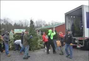  ?? LAUREN HALLIGAN - MEDIANEWS GROUP ?? Trees are loaded into a truck on Monday at Ellms Christmas Trees to be delivered to U.S. military members this holiday season.