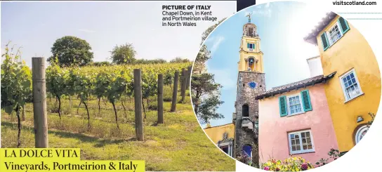  ??  ?? PICTURE OF ITALY
Chapel Down, in Kent and Portmeirio­n village in North Wales