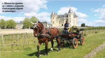  ??  ?? Sillonnez les vignobles en « voiture », la garantie d’une escapade originale et authentiqu­e !