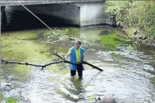  ??  ?? Le président sort le bois mort de l’Avance