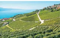  ?? FOTO: GETTY IMAGES/BYJENG ?? Die Weinberge von Lavaux gehören seit 2007 zum Unesco-Welterbe.