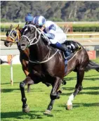  ?? PHOTO JC Photograph­cs ?? It could pay to side with the Ashley Fortune-trained Seventh Rule at the Vaal today. /