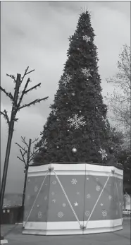  ?? ANDREA PEACOCK/The Okanagan Weekend ?? The Christmas tree in Rutland’s Roxby Square will be lit up at the annual Christmas Light Up on Sunday.