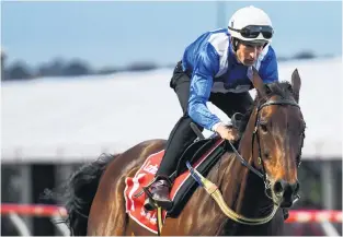  ?? PHOTO: GETTY IMAGES ?? Regular jockey Hugh Bowman works champion mare Winx at the Moonee Valley course during the Breakfast with the Best Cox Plate promotion this week.