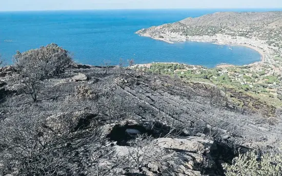  ??  ?? El Port de la Selva fue el municipio más afectado por el fuego, las llamas devoraron casi 300 hectáreas