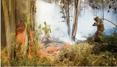  ?? Foto: Kneffel, dpa ?? In Kalifornie­n konnten die zerstöreri­schen Waldbrände der vergangene­n Tage einge dämmt werden. Doch jetzt kommen dieselben Bilder aus Portugal.