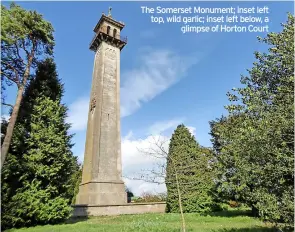  ?? ?? The Somerset Monument; inset left top, wild garlic; inset left below, a glimpse of Horton Court