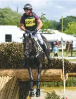  ??  ?? Blackthorn Cruise (Dan Jocelyn), third in the young horse class