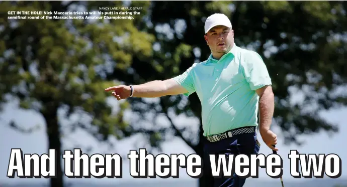  ?? nAncy lAnE / HErAld stAFF ?? GET IN THE HOLE! Nick Maccario tries to will his putt in during the semifinal round of the Massachuse­tts Amateur Championsh­ip.