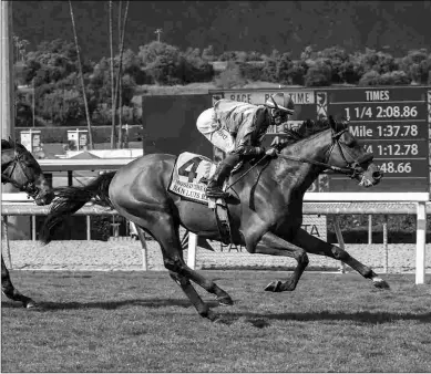  ?? BENOIT PHOTO ?? Missed the Cut looks like he’s headed back to Royal Ascot, possibly in the Group 2 Hardwicke.