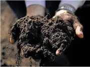  ??  ?? Recology spokesman Robert Reed holds a handful of compost, made from Bay Area food scraps and yard trimmings, at Jepson Prairie Organics near Vacaville. Top: John Wick walks through invasive weeds on his Nicasio ranch.