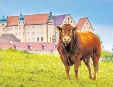  ?? FOTO: RALF BAUMGARTEN ?? Schloss Kapfenburg bietet ein kleines Sommerprog­ramm sowie Übernachtu­ngsmöglich­keiten an.