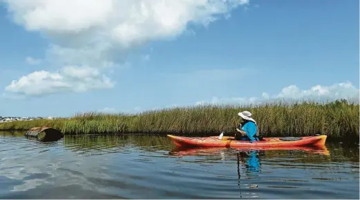  ?? Photos by Elizabeth Conley / Staff photograph­er ?? Mary Warwick, habitat and stewardshi­p program manager for Artist Boat, kayaks on a slough in Galveston on June 28.