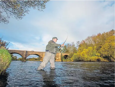  ?? ?? NET LOSS: The total reported rod catch of wild salmon in Scottish rivers for 2020 was the third lowest on record.