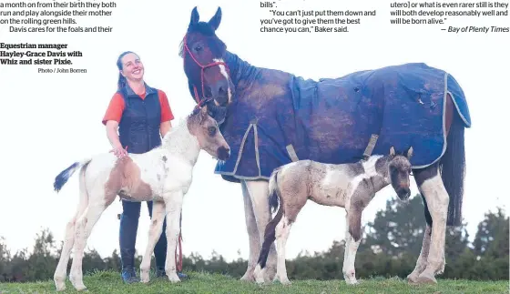  ?? Photo / John Borren ?? Equestrian manager Hayley-Grace Davis with Whiz and sister Pixie.