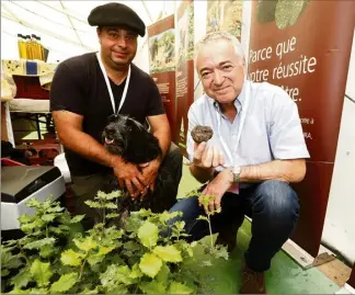  ?? (Photos Frank Muller) ?? Pierre Maccotta de Villecroze en compagnie de sa chienne Lol avec laquelle il fait des démonstrat­ions de cavage durant la foire, et Pierre Rouch de la société Agri-Truffe.