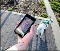  ?? New York Times/DEVIN YALKIN ?? A New Yorker uses the Wag app, which keeps track of where a pooch goes walking.