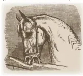  ??  ?? Mayhew’s Illustrate­d Horse Management, by Edward Mayhew, 1860