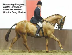  ??  ?? Promising: five-yearold Mr Tom Dooley earns the amateur title for Garry Merton