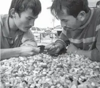  ?? CTP PHOTO XIE GUANGHUI / ?? Two Uygur jade traders choose jade stones at a market in Hotan.