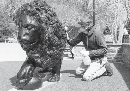  ?? ULYSSES MUÑOZ/BALTIMORE SUN ?? Steve Tracy cleans one of the zoo’s iron lions after some children climbed on top. Despite events of 250-plus people being prohibited, the majority of the Maryland Zoo in Baltimore remains open as of Saturday. Smaller sections with enclosed areas were closed.