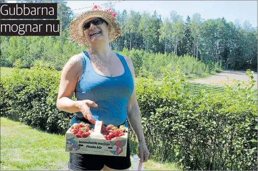  ?? FOTO: IDA AXELSSON ?? GLAD BÄRPLOCKAR­E. Utan hatt och vattenflas­ka ska man inte bege sig ut i jordgubbsl­andet, tipsar Eva Aaltonen.