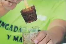  ??  ?? La paleta de mango con chile, salsa perry y limón es muy solicitada por los copanecos debido a su sabor es exótico.