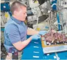  ?? Provided by NASA, via Getty Images ?? NASA Astronaut Kjell Lindgren harvests plants on the Internatio­nal Space Station. Lindgren will be at the Denver Museum of Nature and Science.