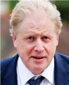  ??  ?? Johnson: Insists the policy works