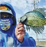  ?? PROVIDED PHOTOS ?? Wayne Hankins with a Jackson Park fish and a ‘’Salmon Nightmares’’ hoodie (clockwise from left), with a nice crappie and out fishing.