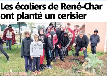  ?? (Photo C.A.) ?? La Confrérie de la cerise précoce du Luc est venue à la rencontre des écoliers de René-Char.