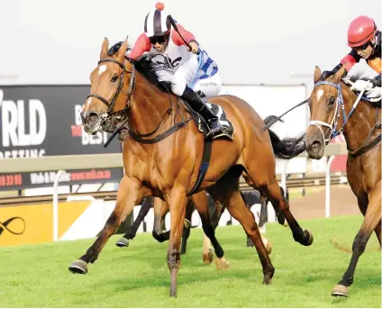  ?? Picture: JC Photograph­ics ?? VALUE. Invincible Lady, who runs in Race 6 at Turffontei­n tomorrow, is Piere Strydom’s value bet on the card.