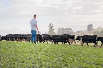  ?? Photo / NZME ?? Halter cheif executive Craig Piggott is looking to to seeing the “sheer wonder” on farmers’ faces as his app is livestream­ed at Fieldays.