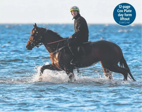  ?? Picture: GETTY IMAGES ?? Stablehand Ben Cadden walks Winx through the shallow waters of Altona Beach in Melbourne.