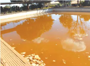  ??  ?? TOTALLY UNACCEPTAB­LE . . . The sad state of a swimming pool in Kadoma which has drawn the condemnati­on of Sports Minister Makhosini Hlongwane who has read the riot act on those managing the facility