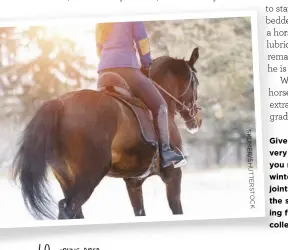  ??  ?? Give your senior horse a very gradual warmup if you ride him in the winter. This lets achy joints slowly work out the stiffness before asking for faster gaits or collection.
