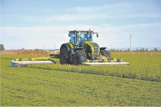  ??  ?? ESCENARIO. Argentina pasó a de 4.200 a 45.000 tonelasdas de allfalfa durante la última década y tiene espacio para seguir creciendo.