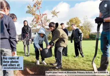  ?? ?? Pupils plant trees at Riverside Primary School. Ref:135036-9