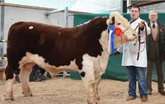  ??  ?? Longford leader: Ciaran and JJ Farrell with the Hereford Premier Show and Sale Champion 2018, which sold for €4,250