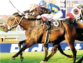  ?? Picture: JC Photograph­ics ?? COURAGEOUS. Covered In Snow is perfectly handled by Muzi Yeni to give the Dianne Stenger stable and owner Peter White a much deserved feature-race victory in the Listed Swallow Stakes over 1160m at Turffontei­n on Saturday. She beat home the...