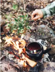  ?? ?? Belöningen efter en småkylig dag i skogen – en drink som värms över öppen eld.
FOTO: STEPHANIE HENNING