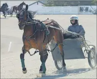  ?? JASON MALLOY/THE GUARDIAN ?? Wade Myers jogs a horse Friday morning at Red Shores at the Charlottet­own Driving Park.