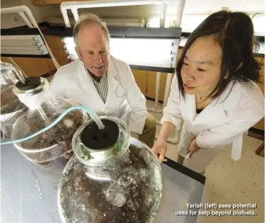  ??  ?? Yarish (left) sees potential uses for kelp beyond biofuels.