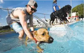  ?? DYLAN SLAGLE/BALTIMORE SUN MEDIA GROUP ?? Mark Trego of Eldersburg helps Sadie, a 11⁄ year-old hound, into the pool during the Westminste­r Municipal Pool’s Annual Pooch Pool Party Wednesday.