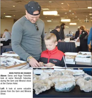  ?? NEWS PHOTOS MO CRANKER ?? Above: Derec and Kage Trekofski look at some Bismuth Saturday during the Gem and Mineral show at the Clarion Hotel.Left: A look at some valuable stones from the Gem and Mineral Show.