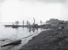  ?? Bild: MATHILDA RANCH/HALLANDS KULTURHIST­ORISKA MUSEUM ?? GUBBARNAS. Goda Hopp år 1910. De flesta män som kom till stranden under den här tiden tillhörde arbetarkla­ssen.