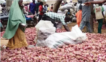  ??  ?? The onions section at the Bakori market in Katsina State at the weekend.