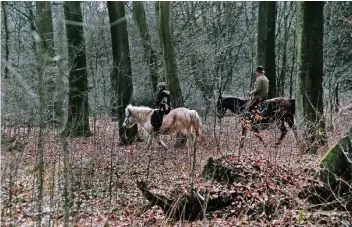  ?? RP-ARCHIVFOTO: ULRICH SCHÜTZ ?? Um die Parknot rund um den Premiumwan­derweg Galgenvenn zu lindern, wurde der Platz für Fahrzeuge mit Anhängern reduziert. Nun kommen Reiter mit ihren Gespannen nicht mehr nah an den Grenzwald heran.