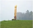  ?? FOTO: GISELA HIRMKE ?? Die Bilder des Holz-Phallus machten am Samstag in den Sozialen Netzwerken schnell die Runde.