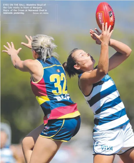  ?? Picture: AFL MEDIA ?? EYES ON THE BALL: : Madeli Madeline d line ne Boyd of the Cats marks in fr front ront of MMarijana Marijana Rajcic of the Crows at Norw Norwood wood Oval in Adelaide yesterday.